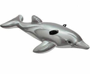 dolphin 700h z2 v16 Dolphin Ride-On
