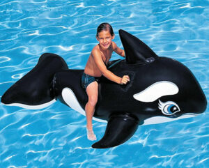 Whale Ride-On
