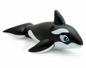 Whale Ride-On - Image 2